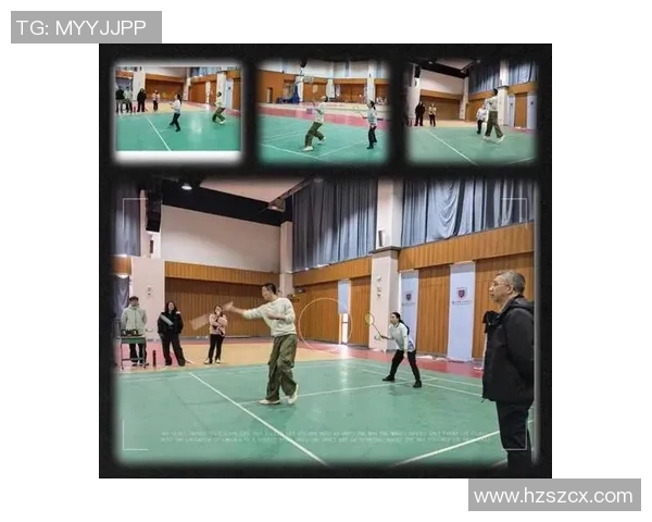 南京羽毛球队比赛经验深度对比与分析探讨